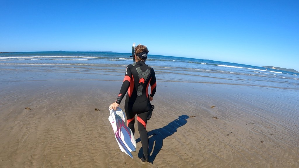 A Scuba Woman in a wetsuit walking towards the ocean with white and pink fins in her hand
Empty Nest Diver