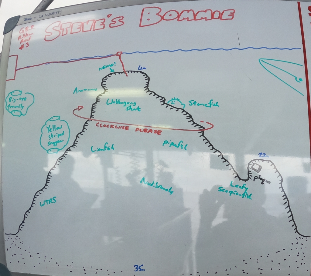 Diagram Steve's Bommie, dive briefing, Ribbon Reefs