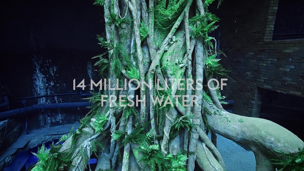 Underwater tree with the caption 14 million liters of freshwater