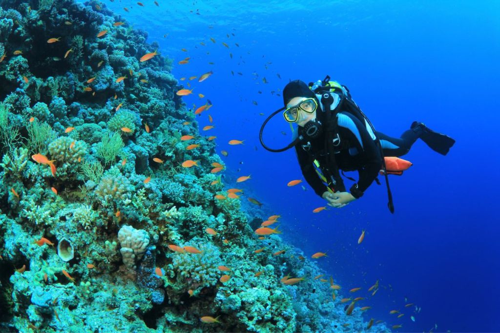 A scuba woman displaying neautral buoyany by a coral bommie with lots of orange fish