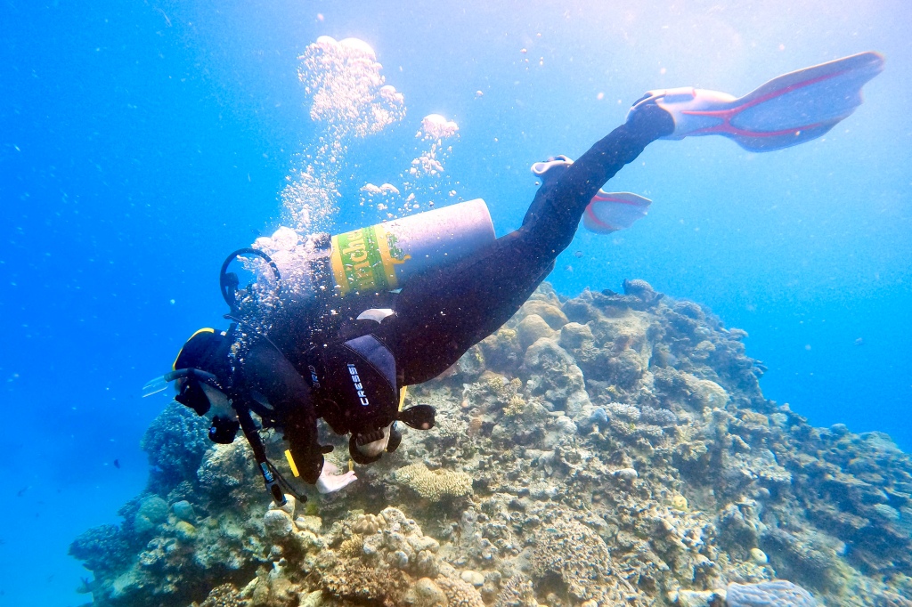 A scuba woman underwater with negative trim.
EMPTY NEST DIVER
