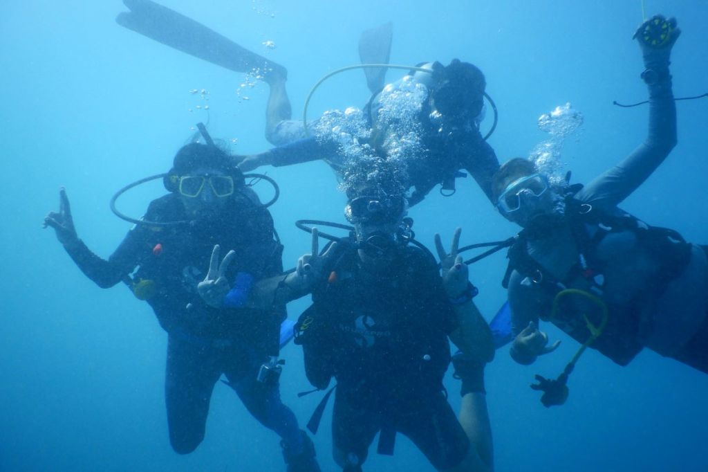 A group of divers underwater